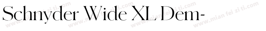 Schnyder Wide XL Dem字体转换